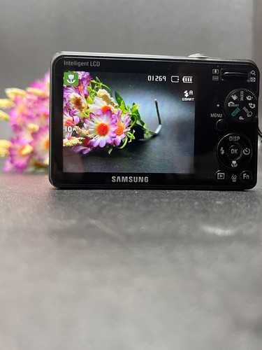 Samsung pl50 2mp - pl50, 10,2mp