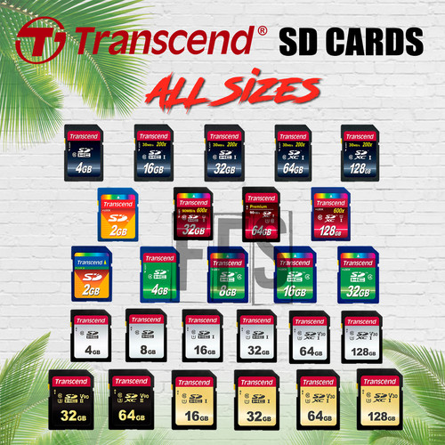 Transcend scheda 16 32 - 4, 8
