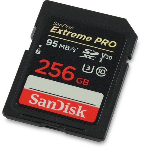 Scheda sandisk 256gb - scheda,